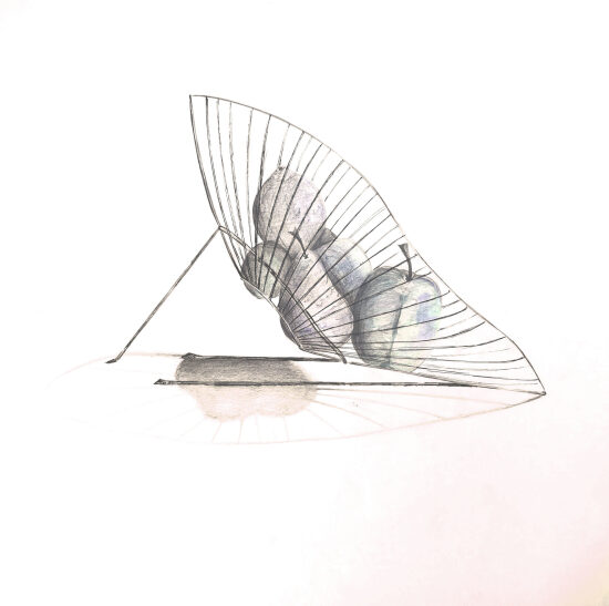 dessin corbeil fruit